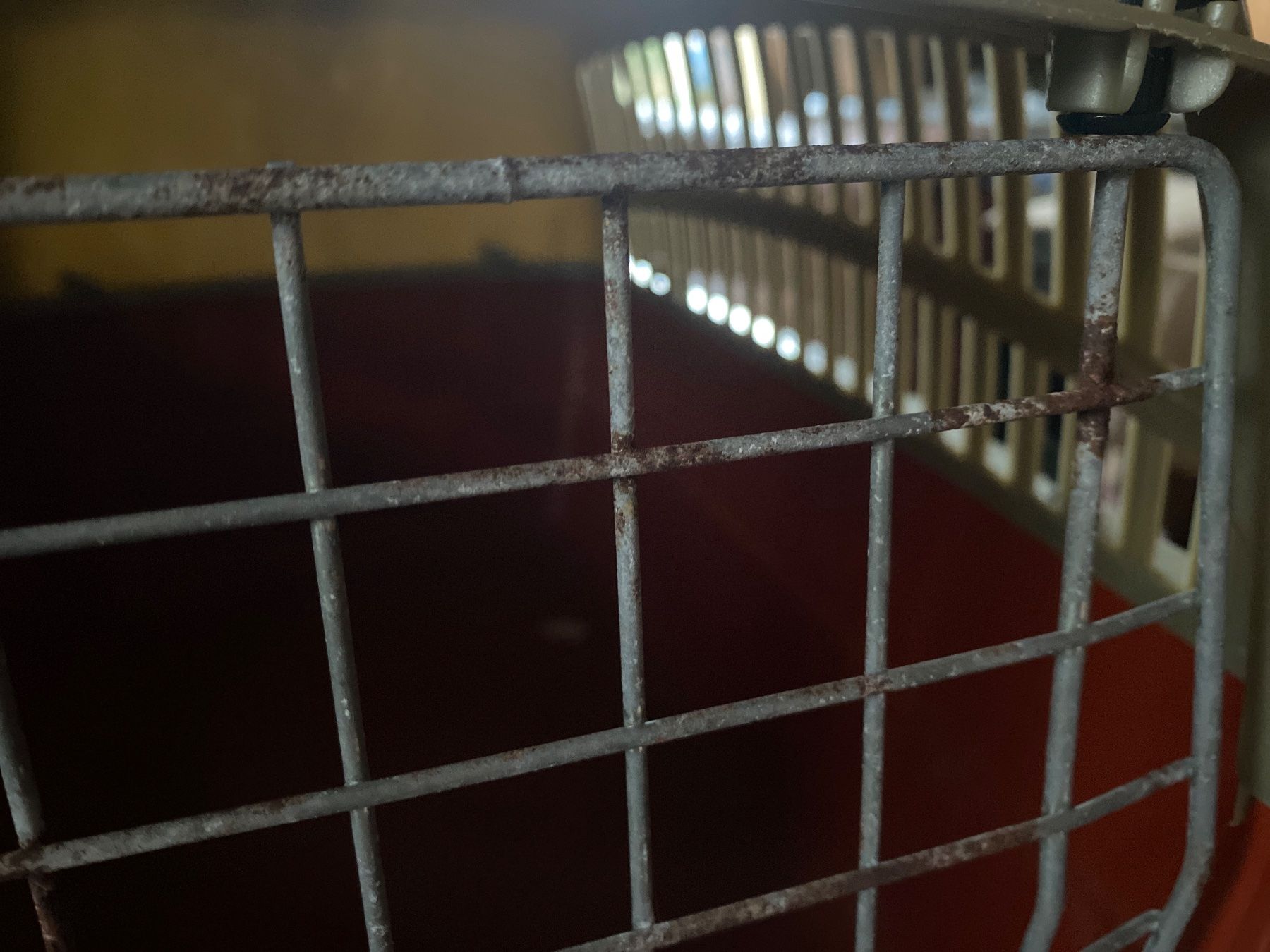 Liege- & Schlafplätze: Caisse transport chat – Gebraucht aus Lajoux JU von Briard0 5
