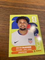 Panini Usa 10