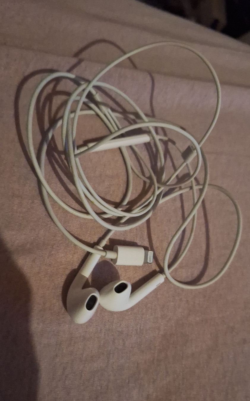 Apple Kopfhörer: Écouteurs Apple EarPods avec connecteur Lightning blancs – Gebraucht aus Tannay von v1n1p00h