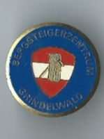 Bergsteigerzentrum Grindelwald, Pin