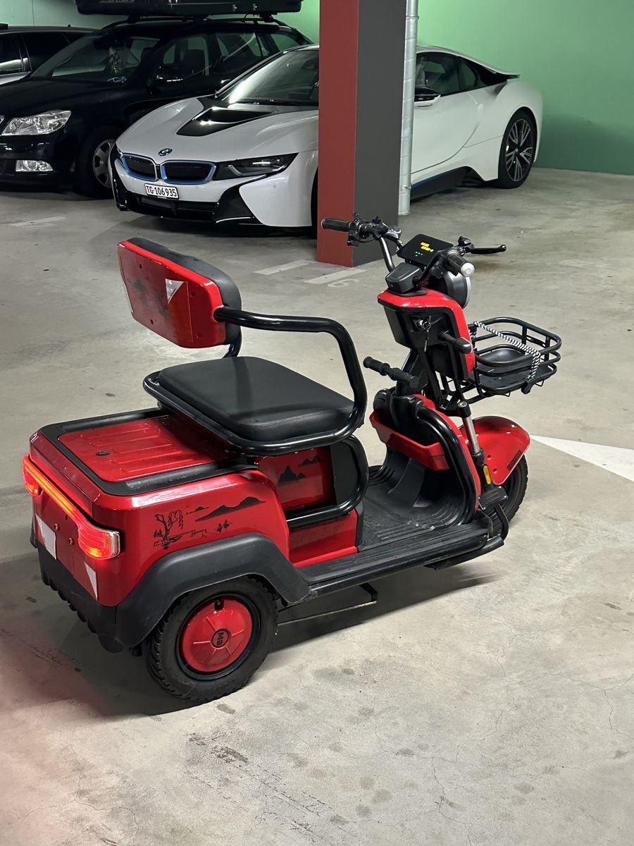 Elektromobile: Seniorenmobil – Gebraucht aus Arbon von dom_s8jb 4