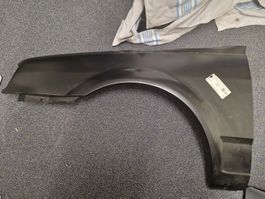 Polo G40 Kotflügel links