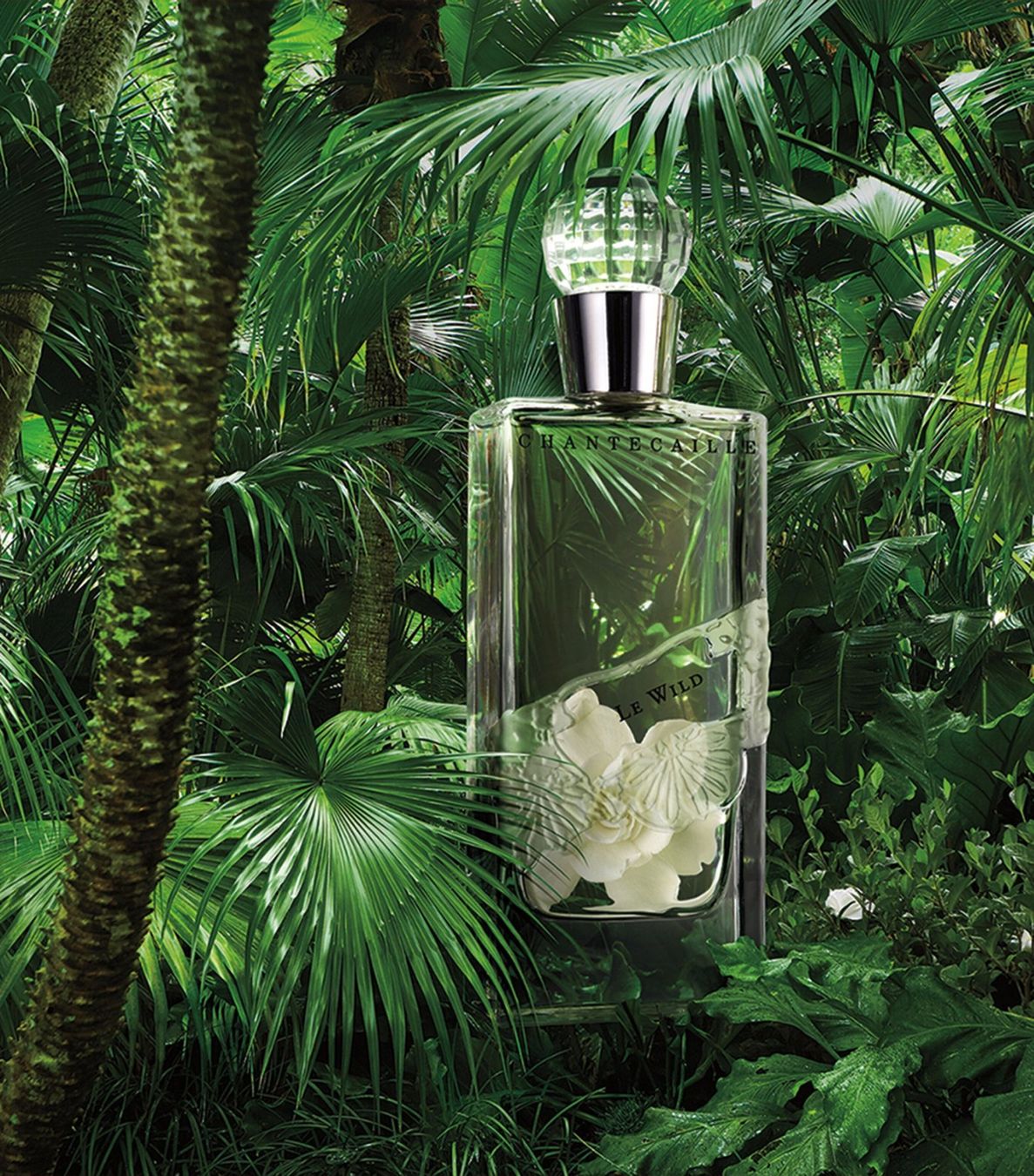 Parfum & Eau de Toilette: CHANTECAILLE Le Wild EDP 2ml/5ml Abfüllung – Neu und originalverpackt aus Bergdietikon von nonishop 1