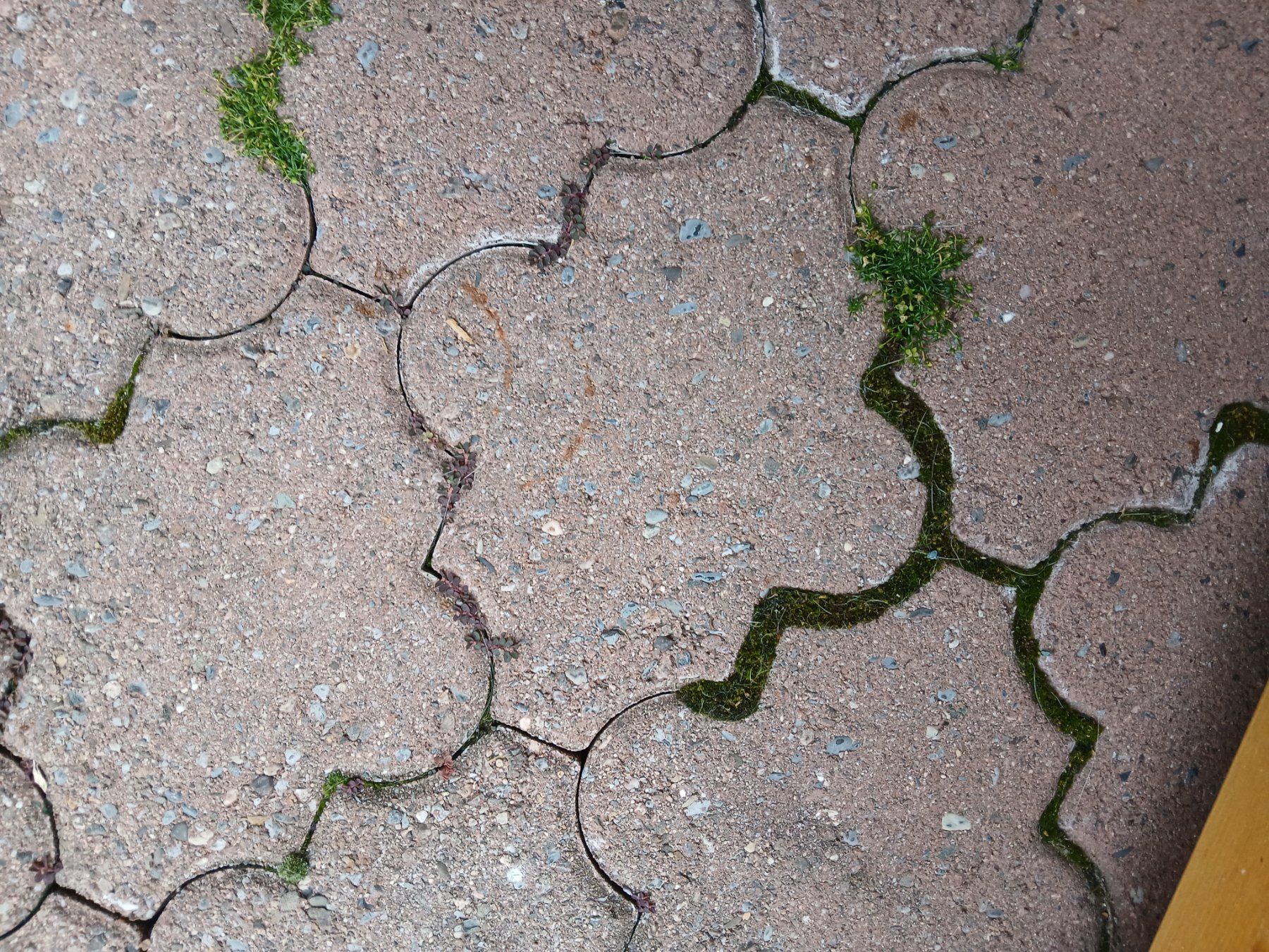 Rivestimenti per pavimenti: Pflastersteine – Usato da Linthal venduto da pau_v979 1