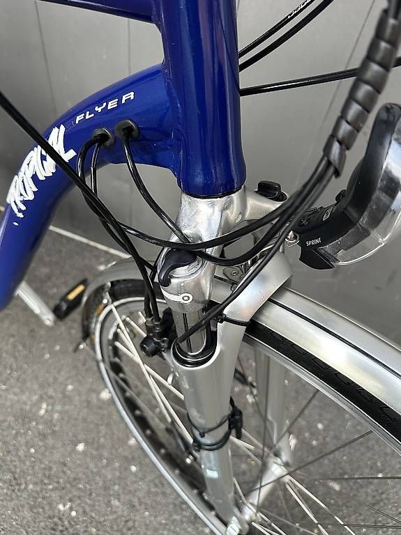 Velos: E-bike da uomo Flyer Tropical 28 – Gebraucht aus Quartino von DiloUsato 4