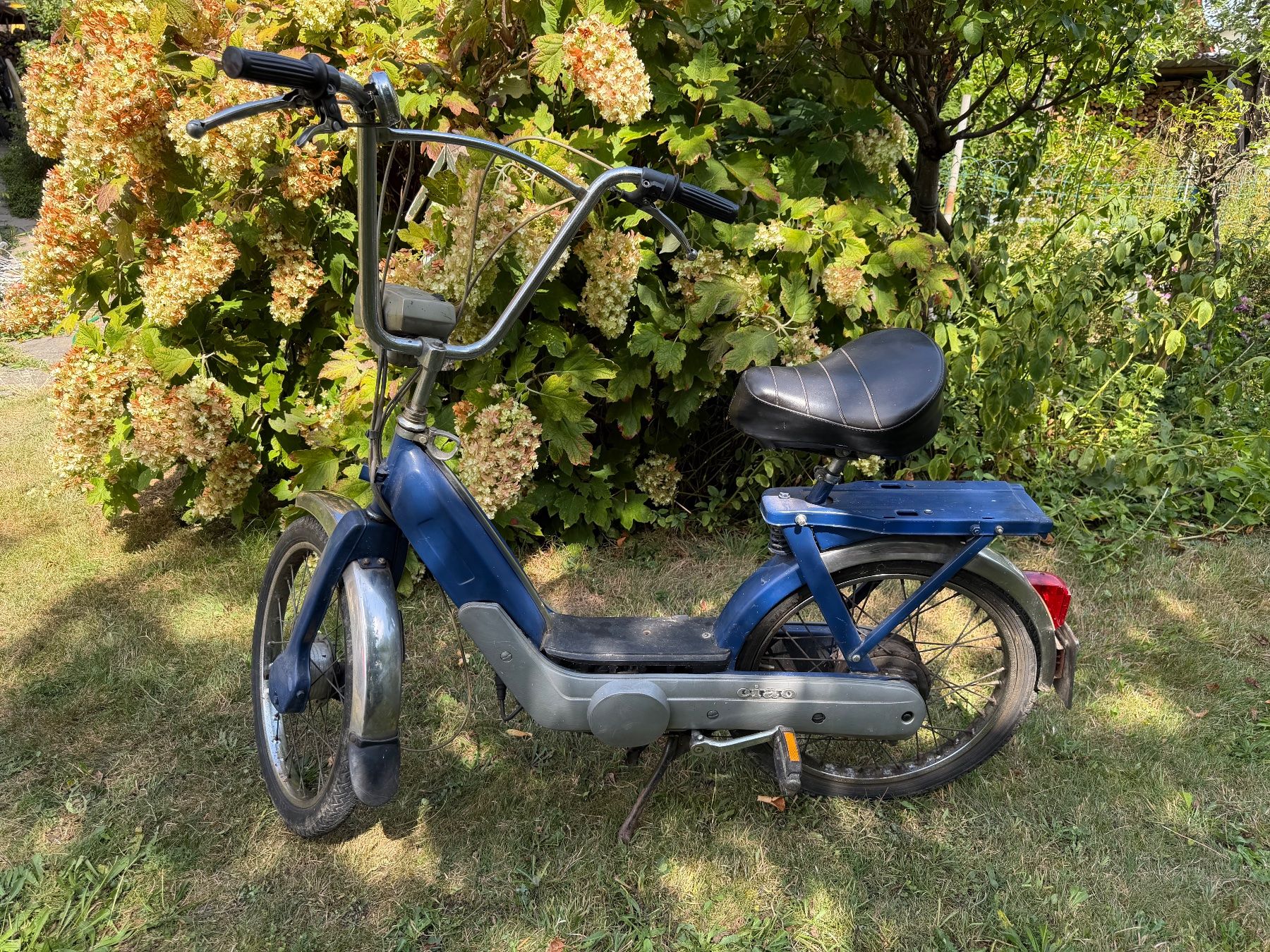 Piaggio Ciclomotori: Mofa Ciao – Usato da Goldach venduto da Flameflower