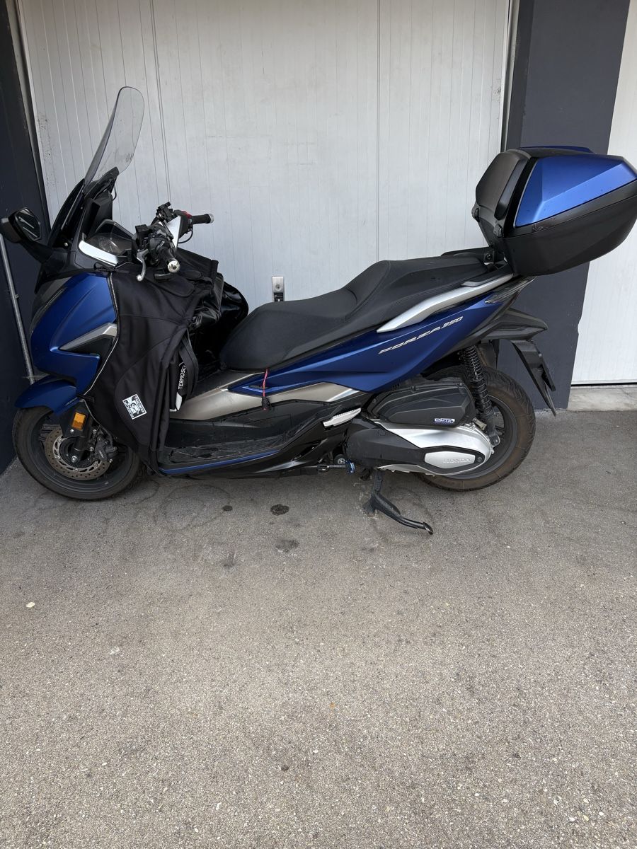 Honda Scooter: Honda Forza 350 – Usato da Territet venduto da Domiswiss