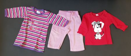 2 Langarmshirt und 1 Hose Gr.74