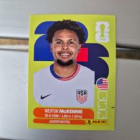 USA 10 Panini FIFA WM 2026