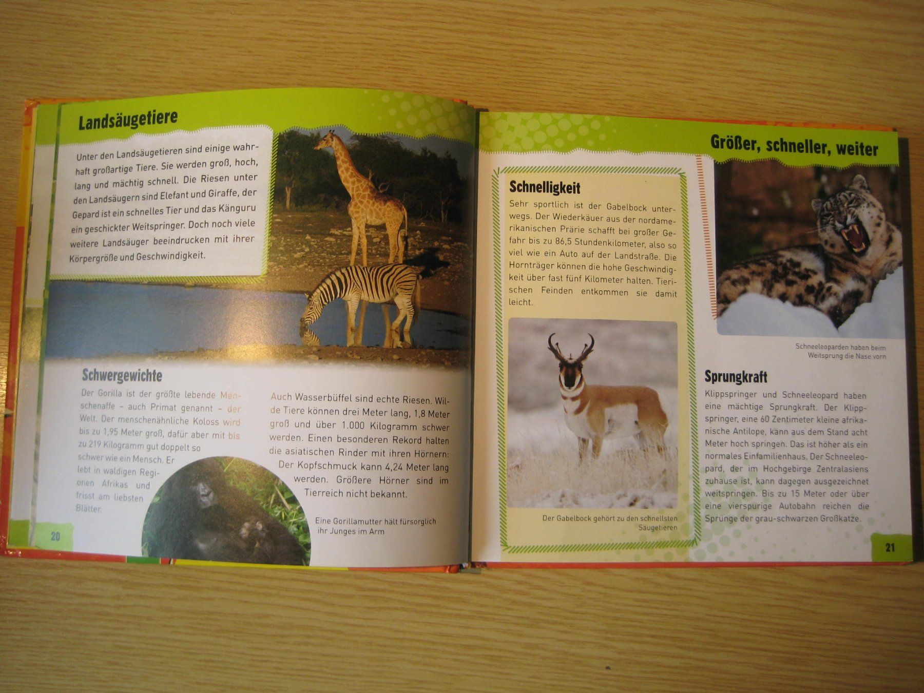 Libri: Spannendes Sachbuch über Tierrekorde – Usato da Greifensee venduto da Janali01 2