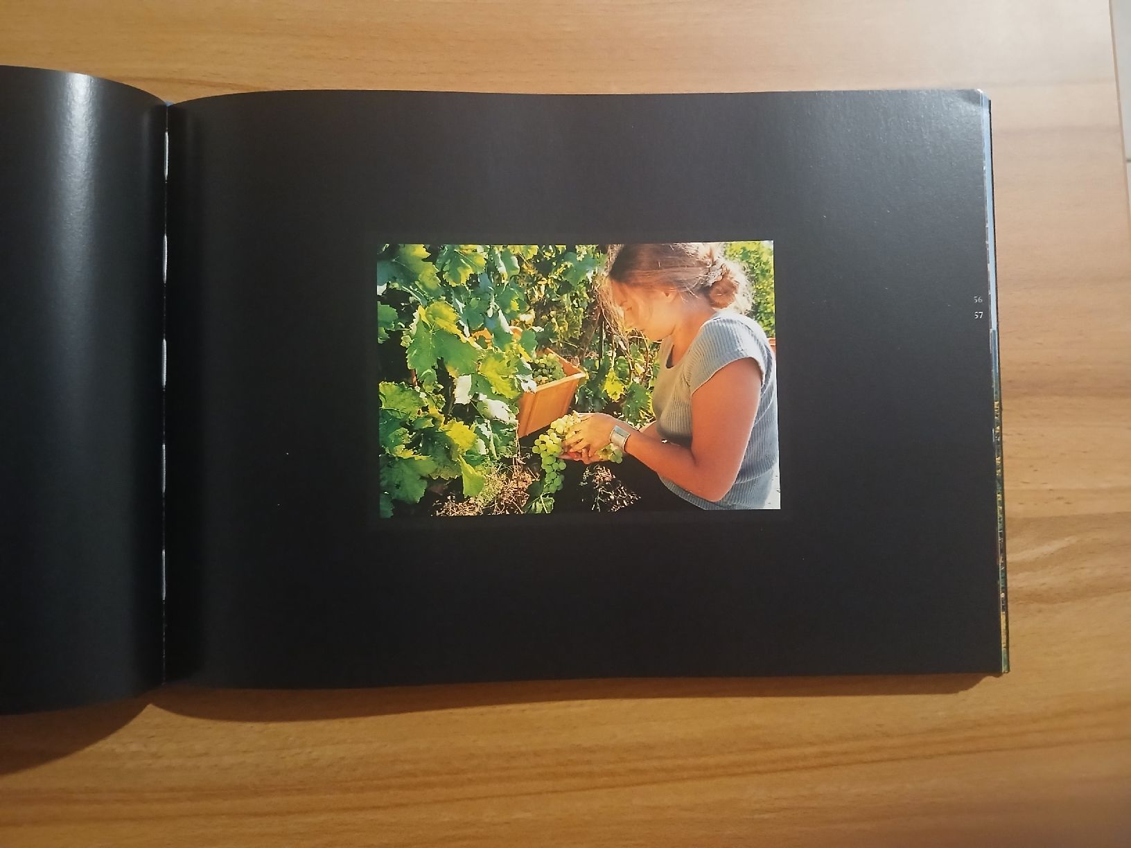 Libri: Vignobles Suisses – Usato da Le Sentier venduto da arc_2thy 4