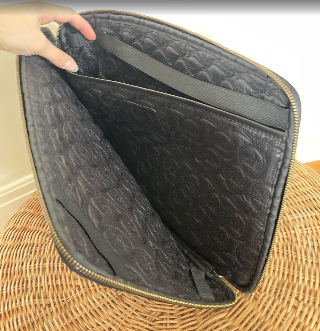 Koffer & Taschen: Alexander mcQueen document pouch – Gebraucht aus Zürich von aliiix 3