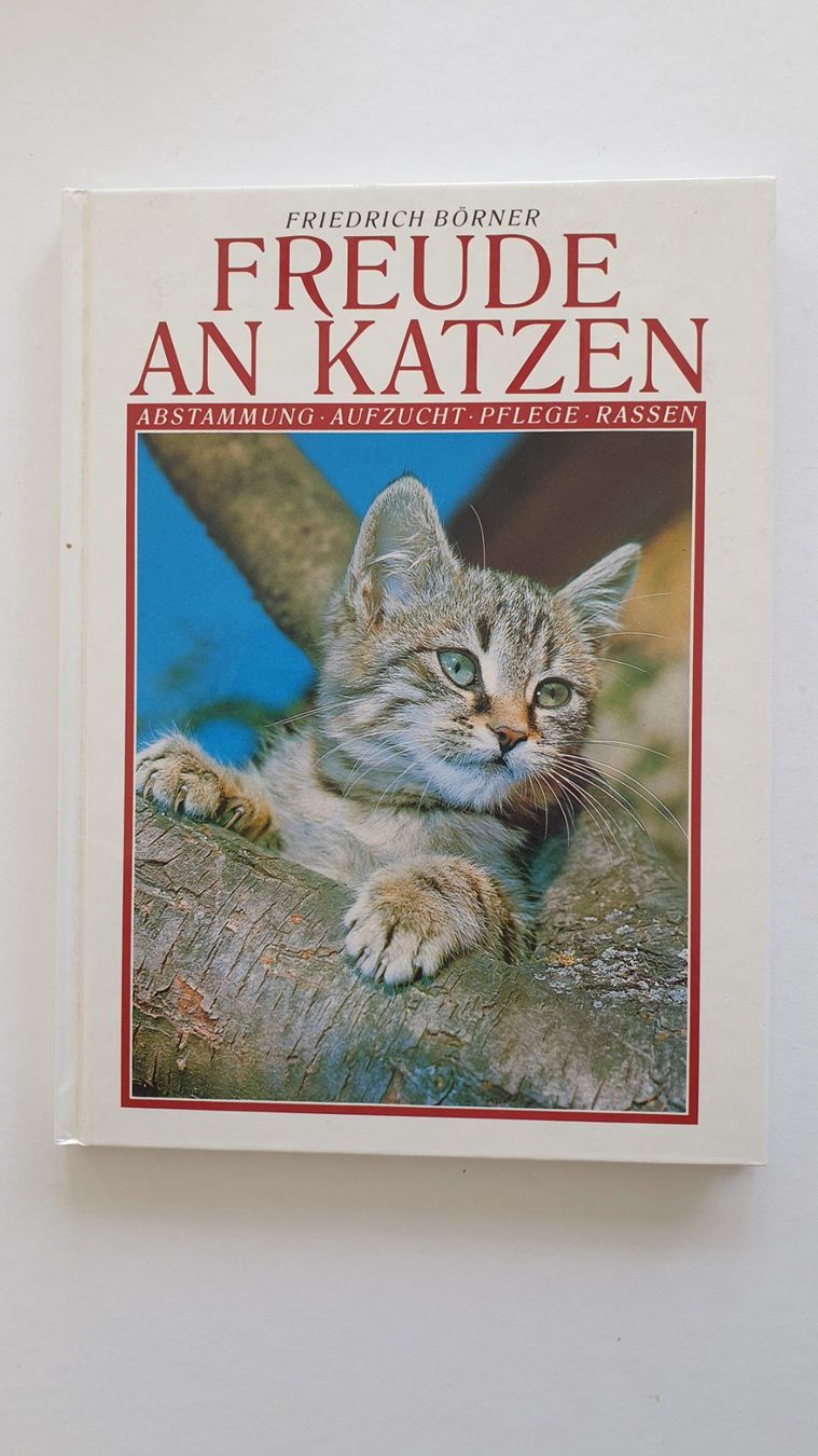 Libri: Katzenbücher – Usato da Goldach venduto da armando_r 4