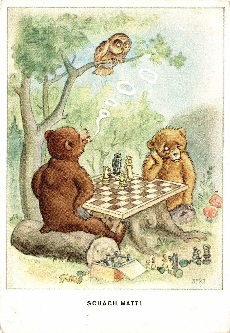 Ansichtskarten: Schach Matt. Bären beim Schachspielen – Gebraucht aus Bronschhofen von Astore
