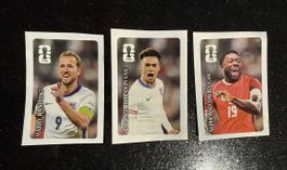 Panini FIFA Sticker Coca-Cola Collection