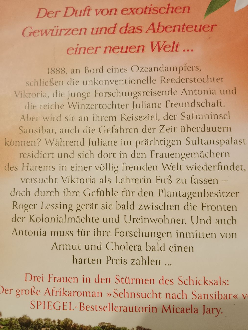 Libri: Sehnsucht nach Sansibar – Usato da Volken venduto da katz5 3