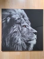 Bild: Männlicher Löwe (Decoglas, 50x50cm) neu