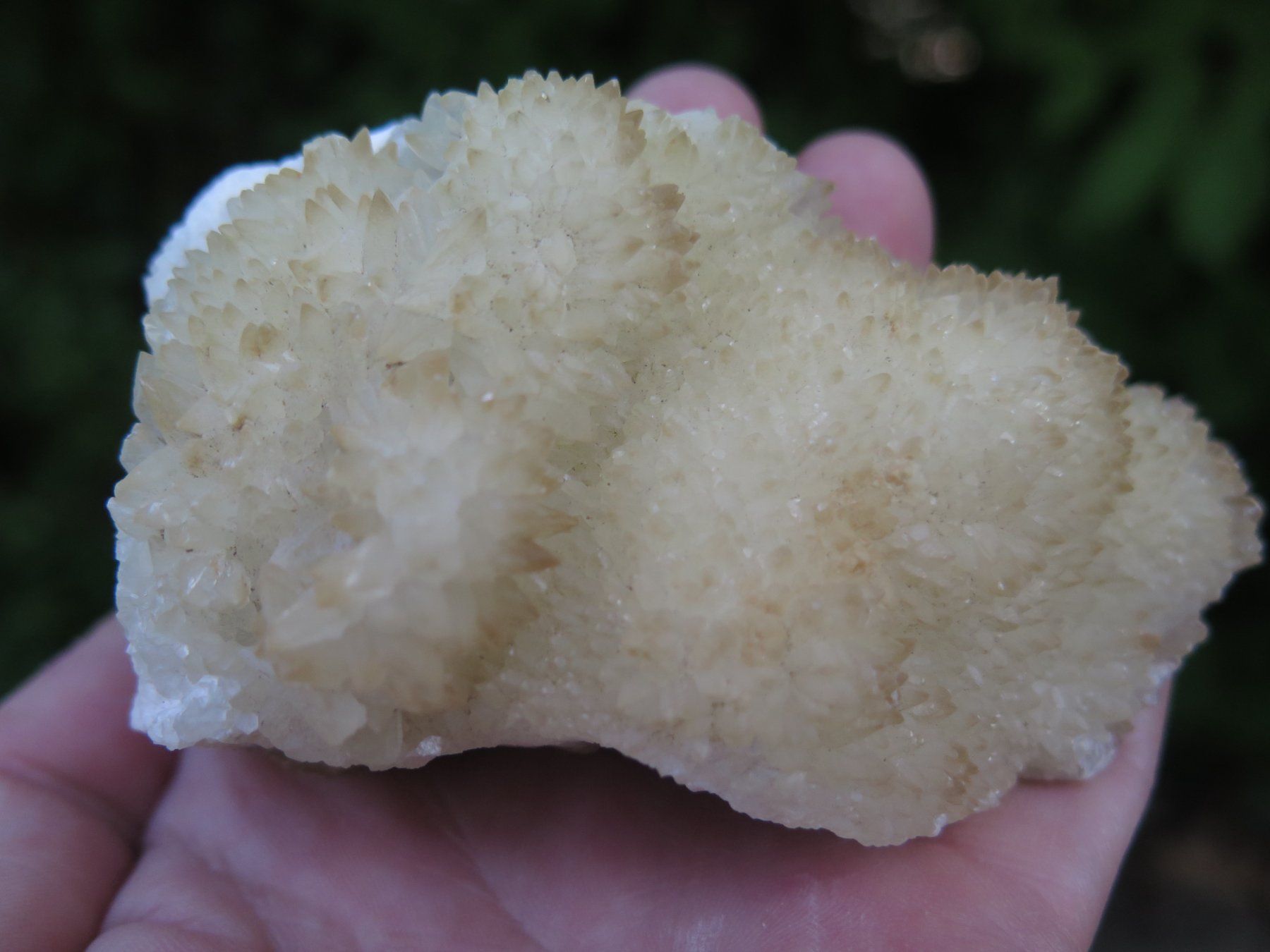 Mineralien & Heilsteine: Calcit auf Siderit – Gebraucht aus Schaffhausen von Yamakana51L8736OQ8