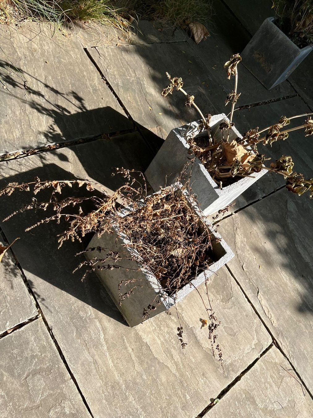 Vasi per fiori: Zwei graue Übertöpfe – Usato da Oberrohrdorf venduto da Anuschka5