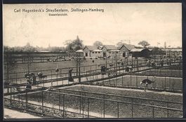 Hamburg-Stellingen, Zoo, Carl Hagenbeck'