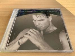 Gary Barlow – Open Road