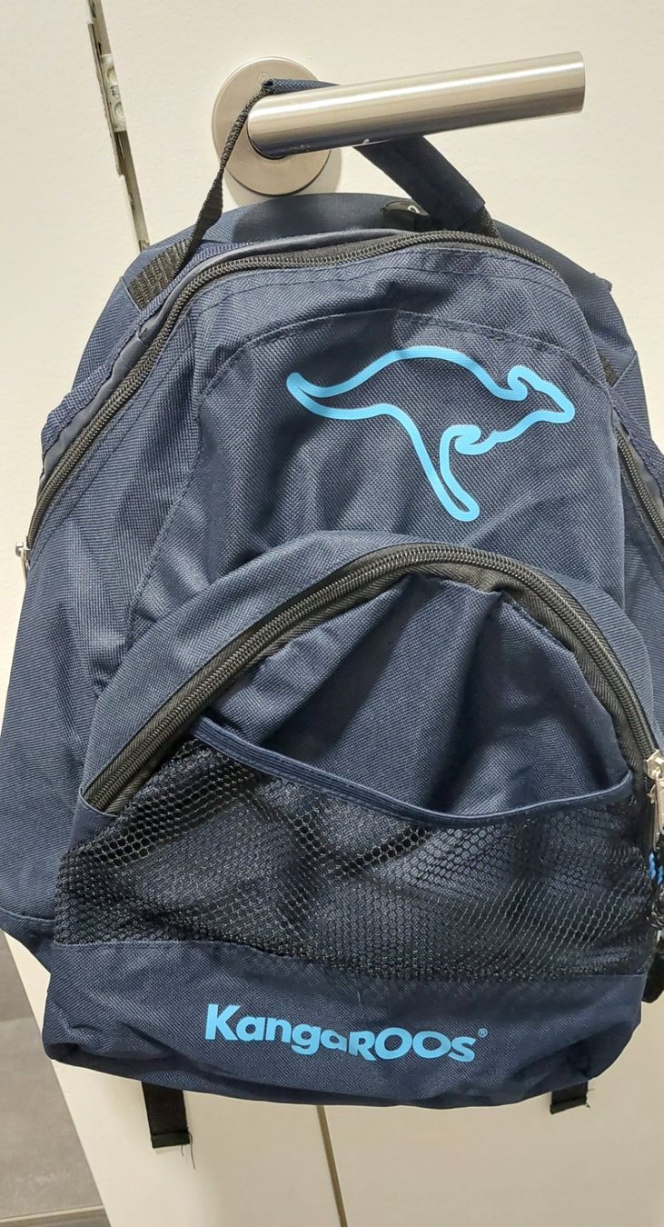 Borse & Zaini: Rucksack – Usato da Hendschiken venduto da Piedi