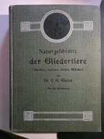 Naturgeschichte der Gliedertiere - Dr. C.G.Giebel - 1863