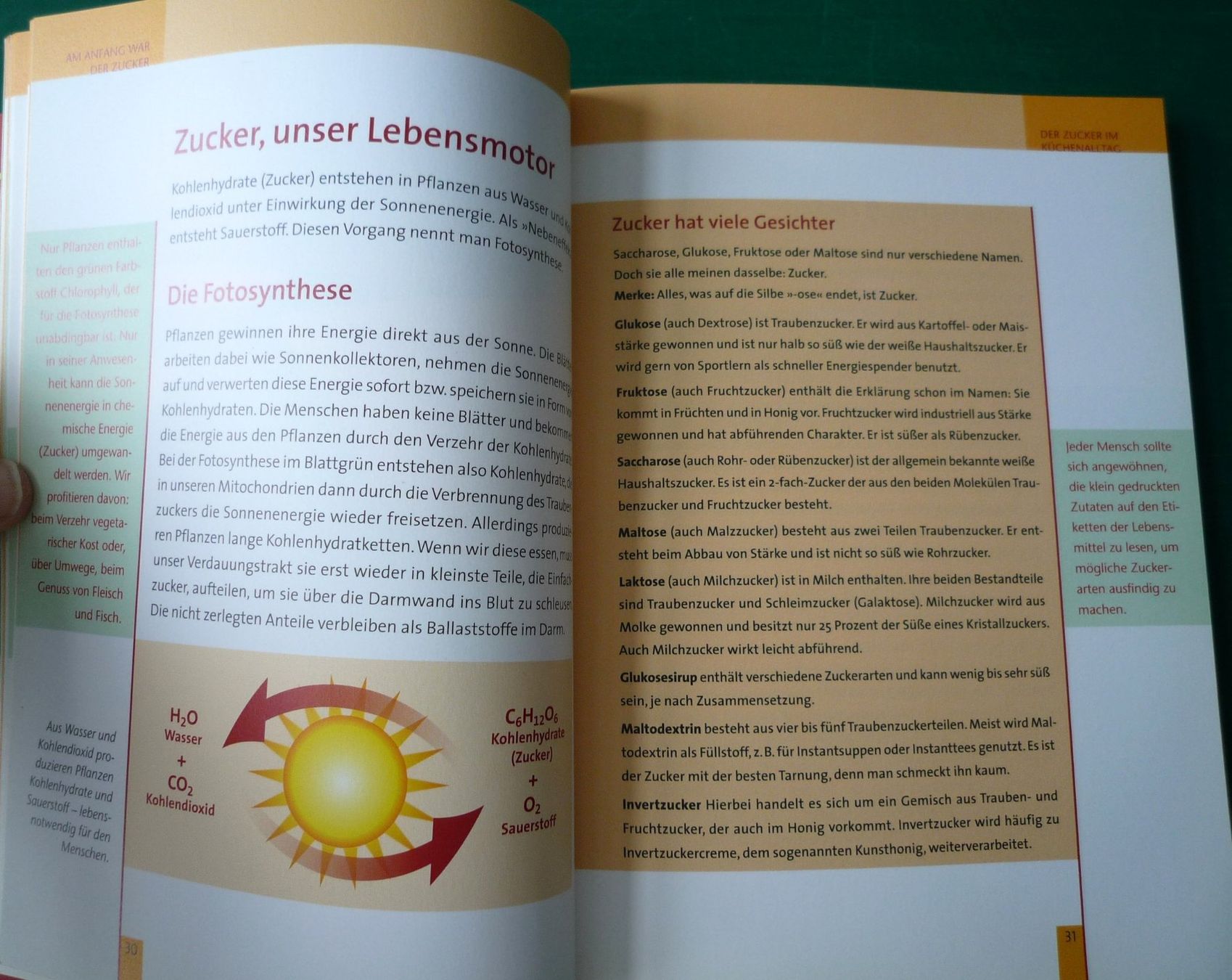 Libri: metabolic balance "Für Diabetiker" – Usato da Rafz venduto da Sonnenblume305 2