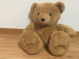 Teddybär Plüschtier
