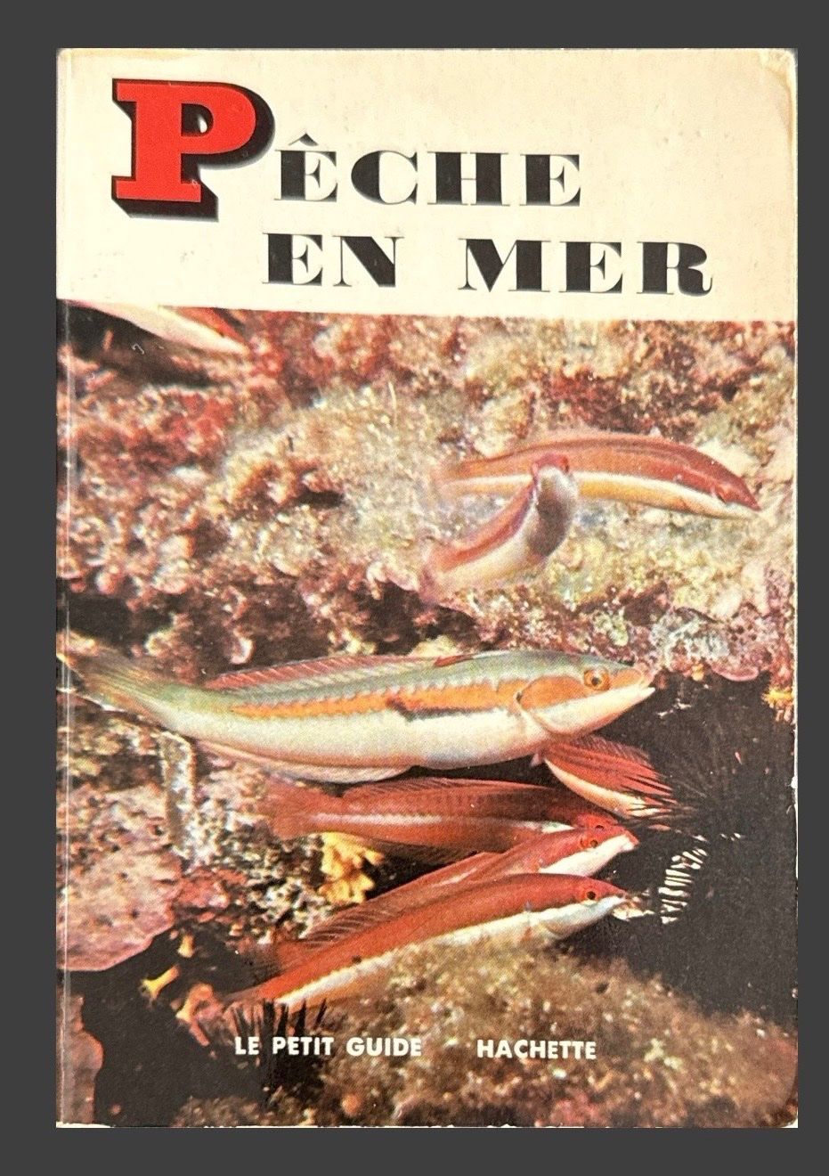 Libri: Guide Pêche en Mer Hachette 1964 160 pages illustrées – Usato da Fleurier venduto da jea_j77g