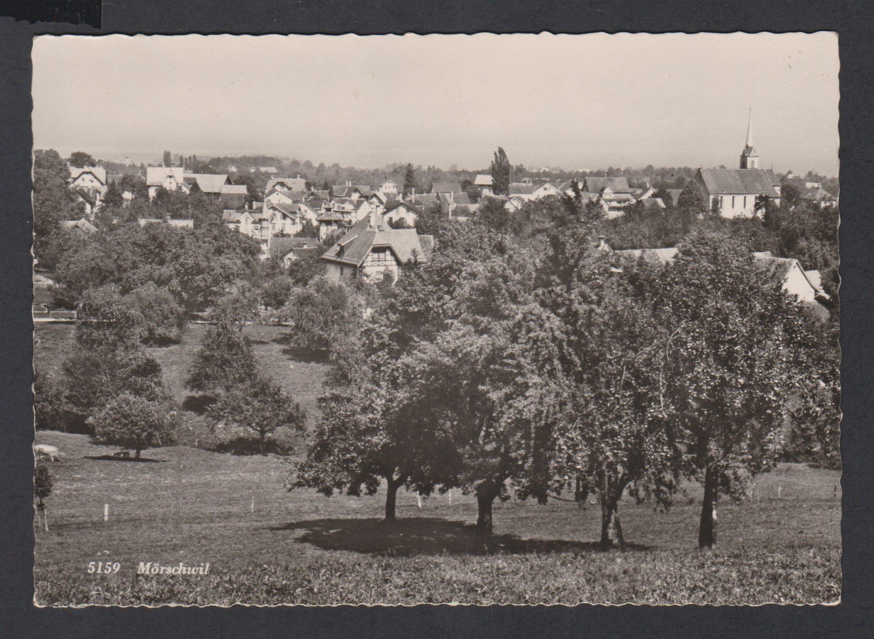 Cartoline postali: Mörschwil   :   alte Ansichtskarte um 1950 – Usato da Vitznau venduto da Ropaku