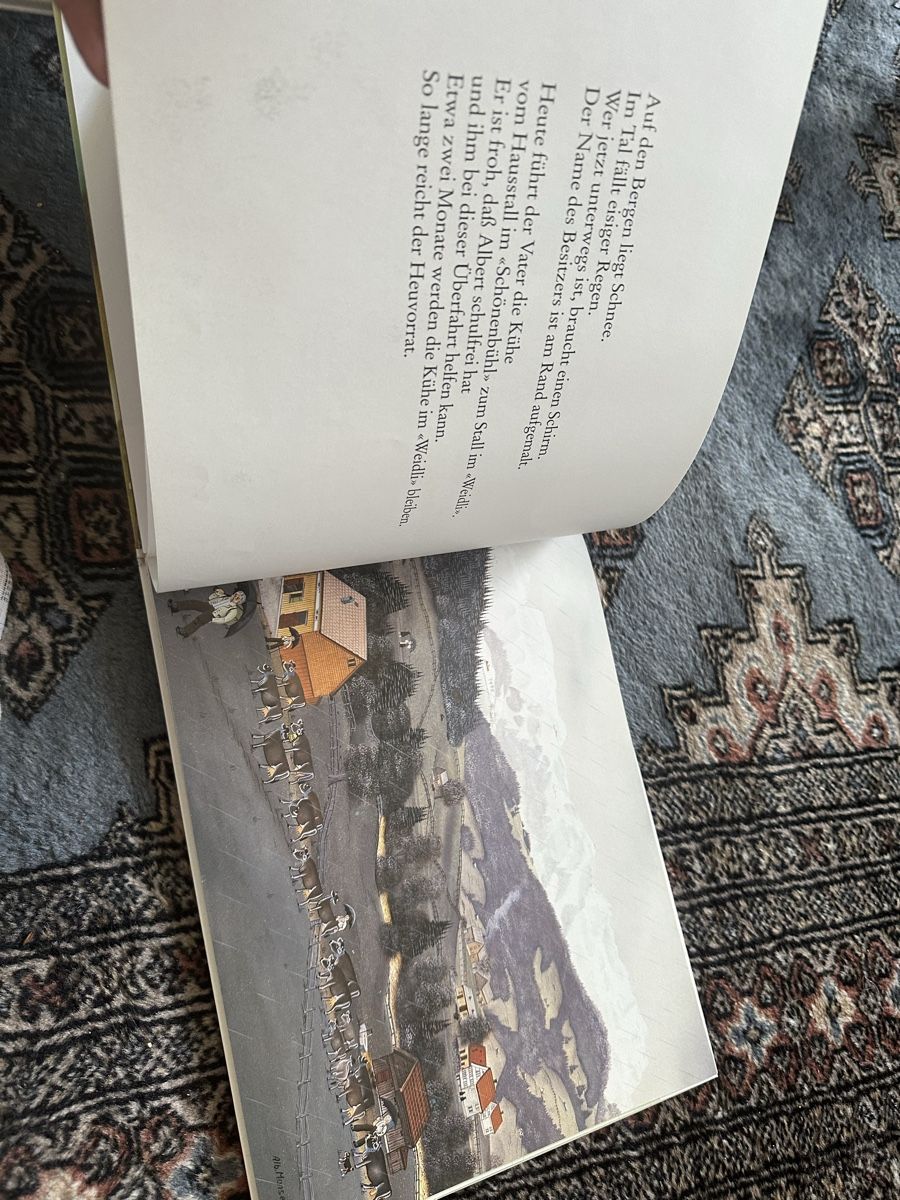 Libri: Alberti Albert Manser – Usato da Uster venduto da bek_v2ct 6