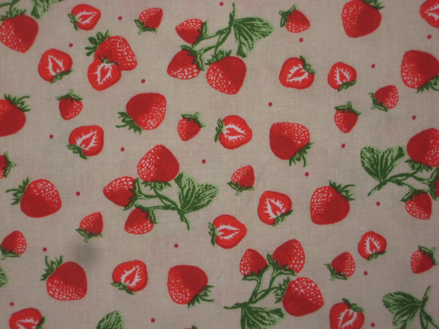 Tessuti: Baumwollstoff natur mit Erdbeeren – Nuovo (secondo la descrizione) da Füllinsdorf venduto da Schlupp 1