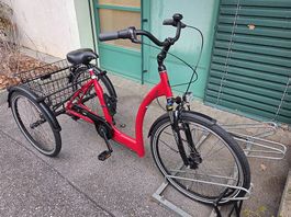 Tricycle Pfautec Lano