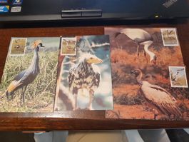 3 cartes postales d'oiseaux rares d'Afrique avec timbre!