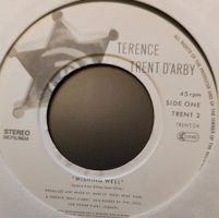 Vinyl-Single Terence Trent D'Arby - Wishing Well