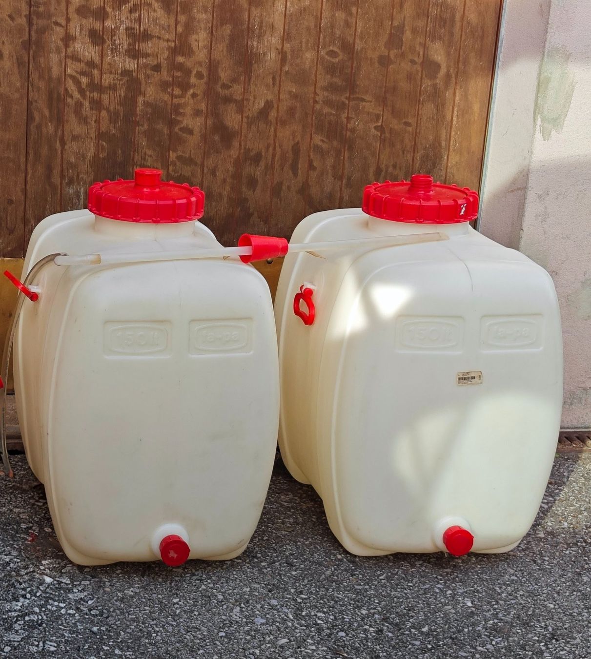 Contenitori & Simili: Contenitori in plastica per fermentazione – Usato da Comano venduto da Mary922