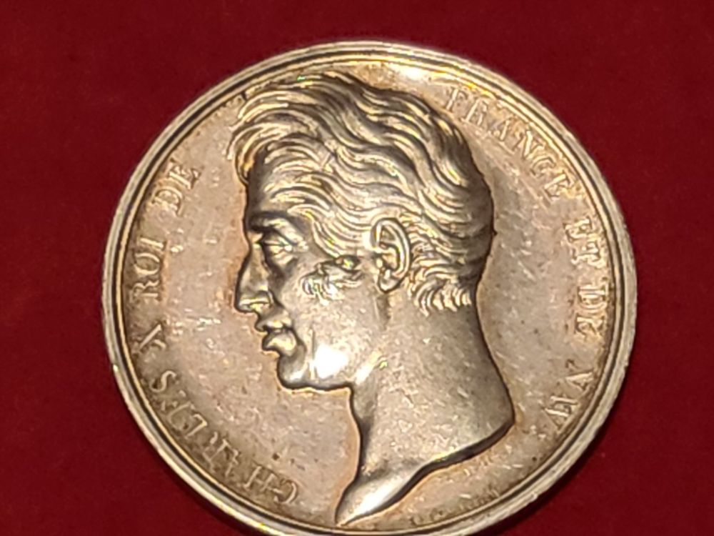 Grand Medallie France Charles Silver 1827 Etat Excellent Kaufen auf