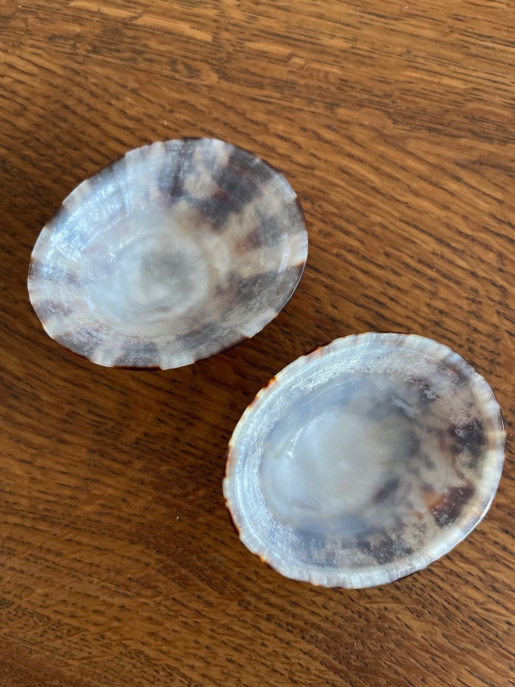 Accessori per l’allattamento: Stillmuscheln bebe nacre – Usato da Täuffelen venduto da Nice800 1