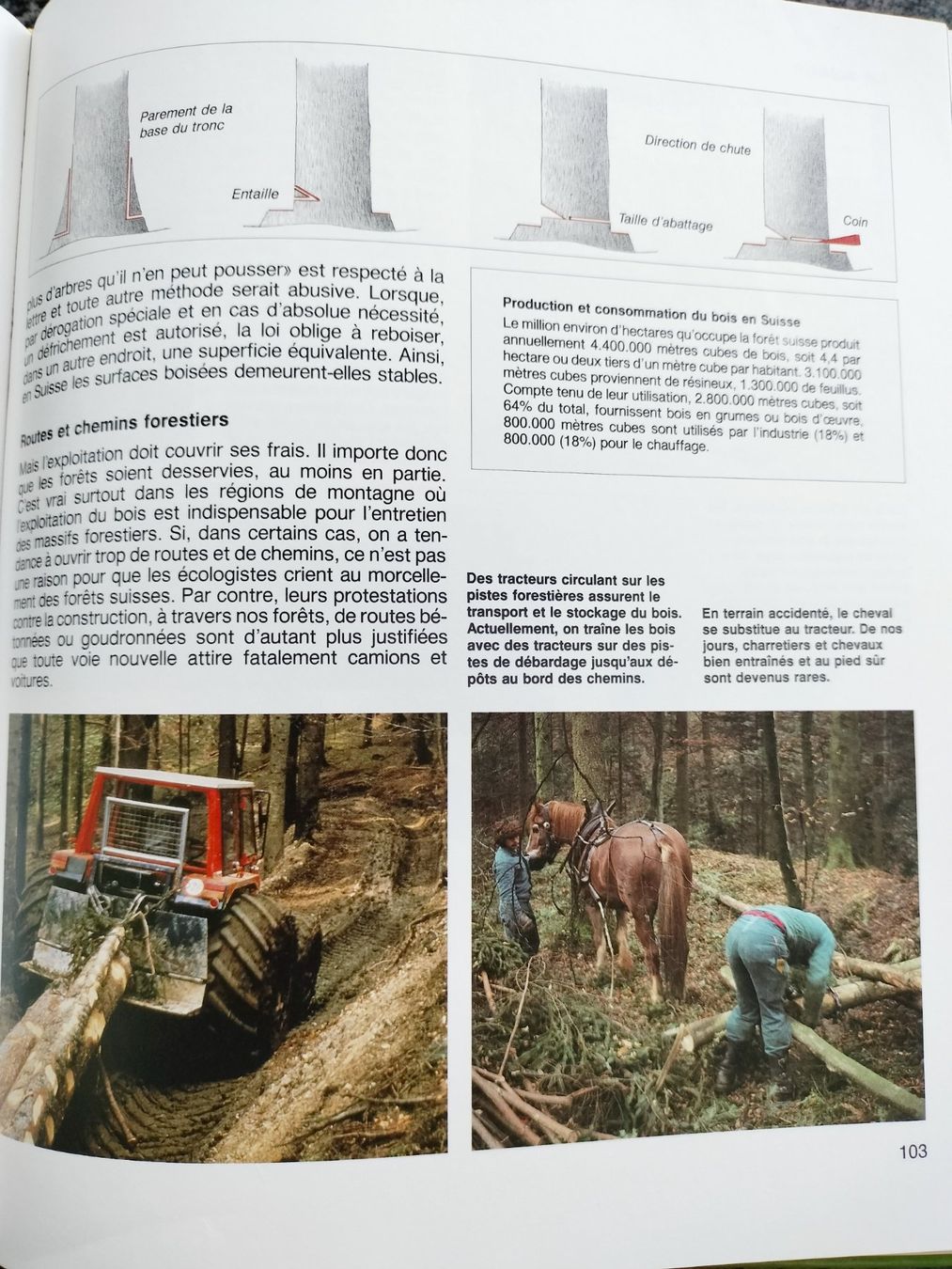 Libri: LA FORÊT Découvrez la forêt avec Silva – Usato da Cortaillod venduto da rozinna 9