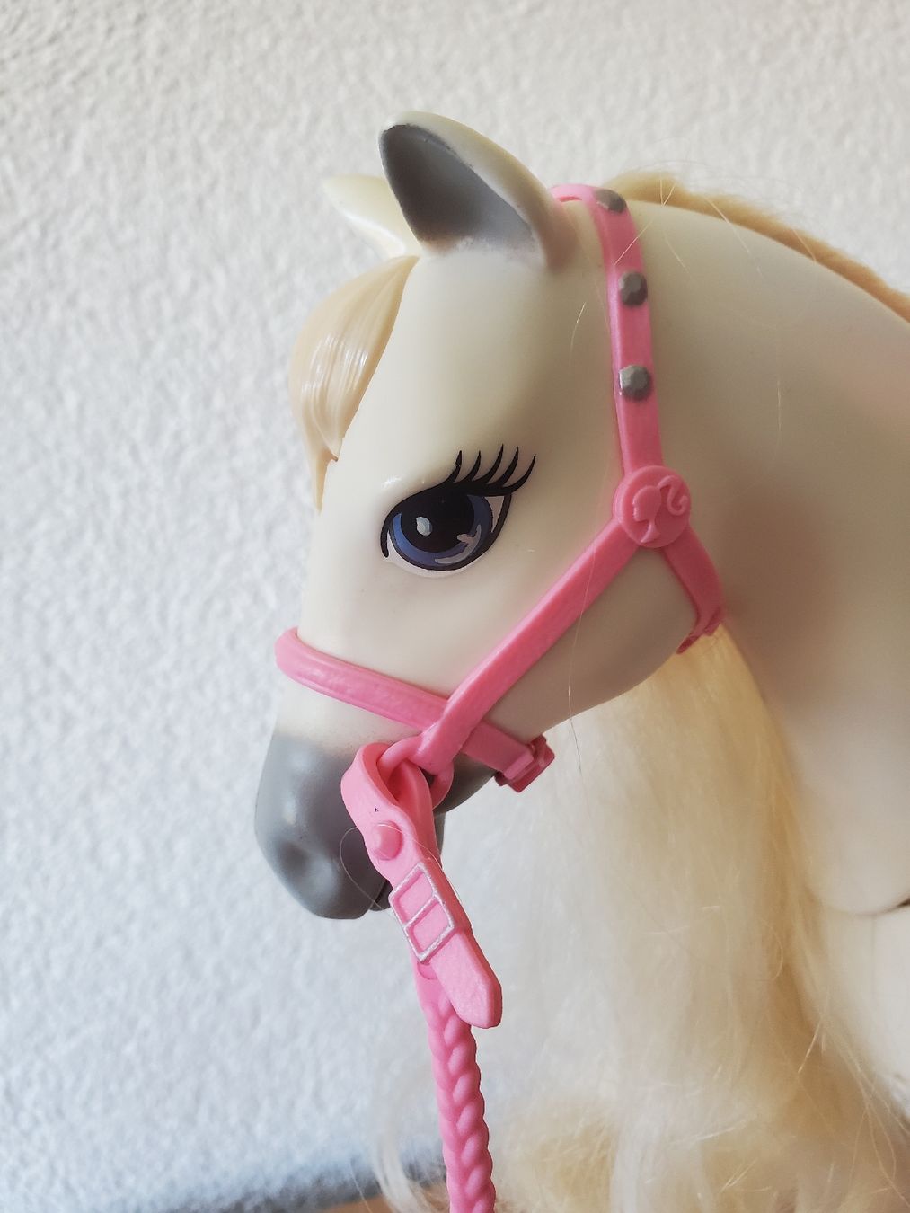Giocattoli: Barbie und Traumpferd FTF02 Mattel – Usato da Schwarzsee venduto da dergli01 1