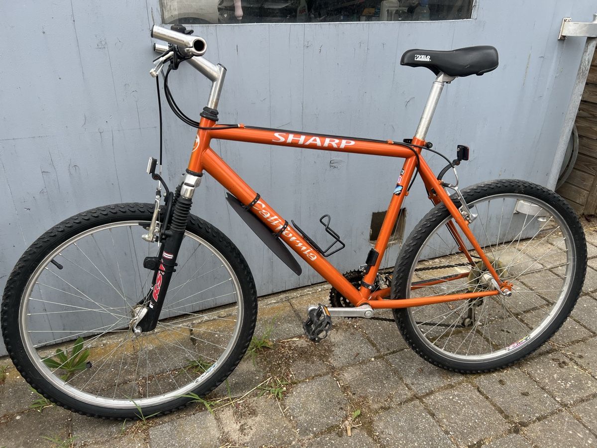 Biciclette: VTT Sharp California – Usato da Chénens venduto da gtcars