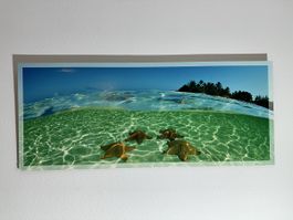 Grosses Wandbild Meer mit Seesternen