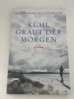Kristin Marja Baldursdóttir - Kühl graut der Morgen Roman