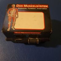 karteikästli mit dem Muskelsystem