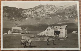 Wirtschaft zur Alpenrose Mullernalp Mollis um 1908