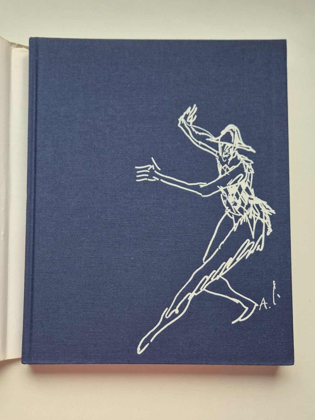 Libri: CARIGIET  🔔   1992 – Usato da Niederweningen venduto da Obson 1