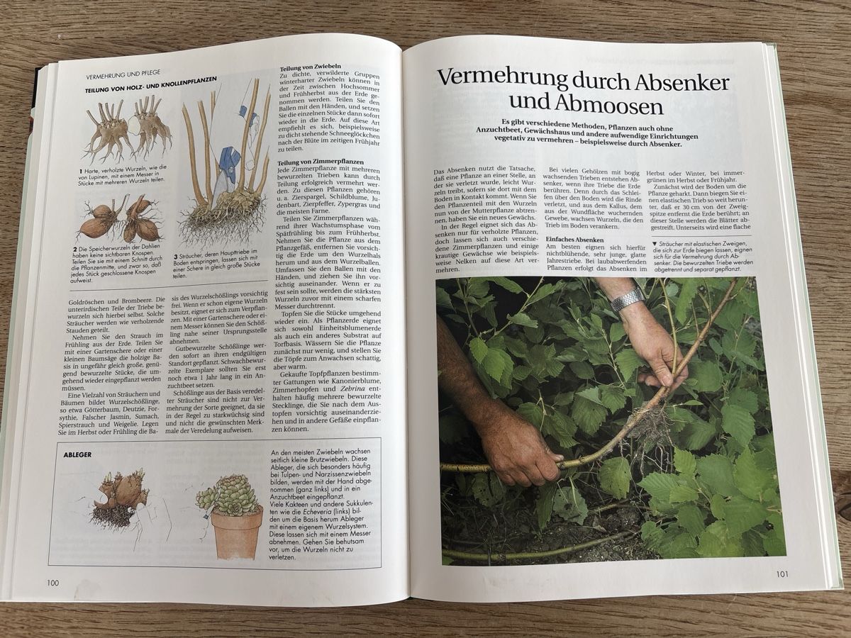 Livres: Gartenarbeit leichtgemacht – D'occasion à Schlierbach par Stee09 4