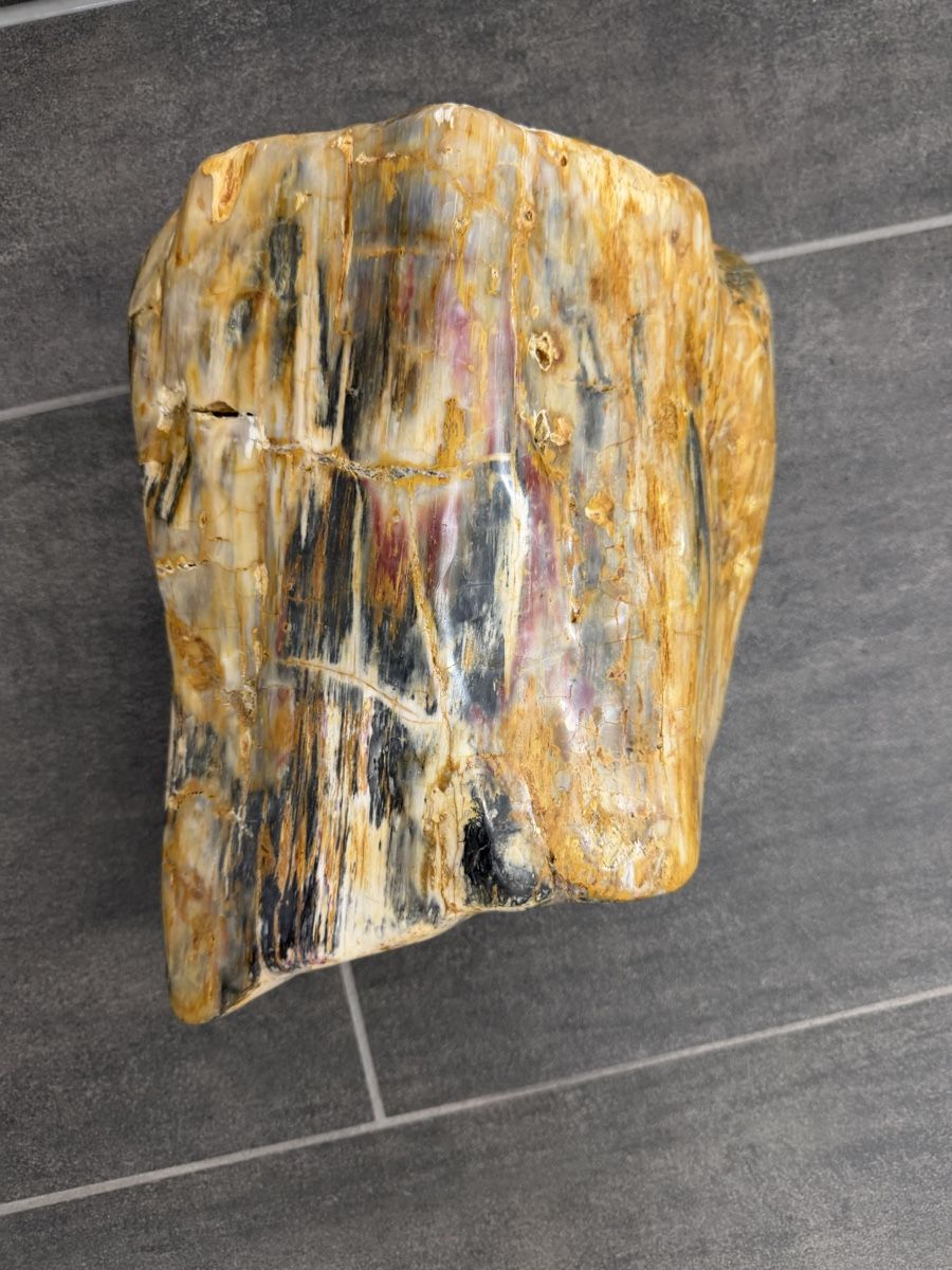 Fossilien: Versteinertes Holz – Gebraucht aus Horn von HanSolo.