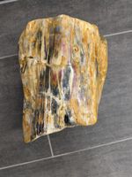 Versteinertes Holz